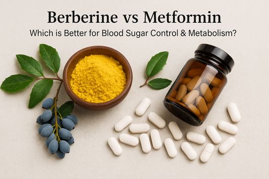 Berberine vs Metformin: Which is Better for Blood Sugar Control & Metabolism?