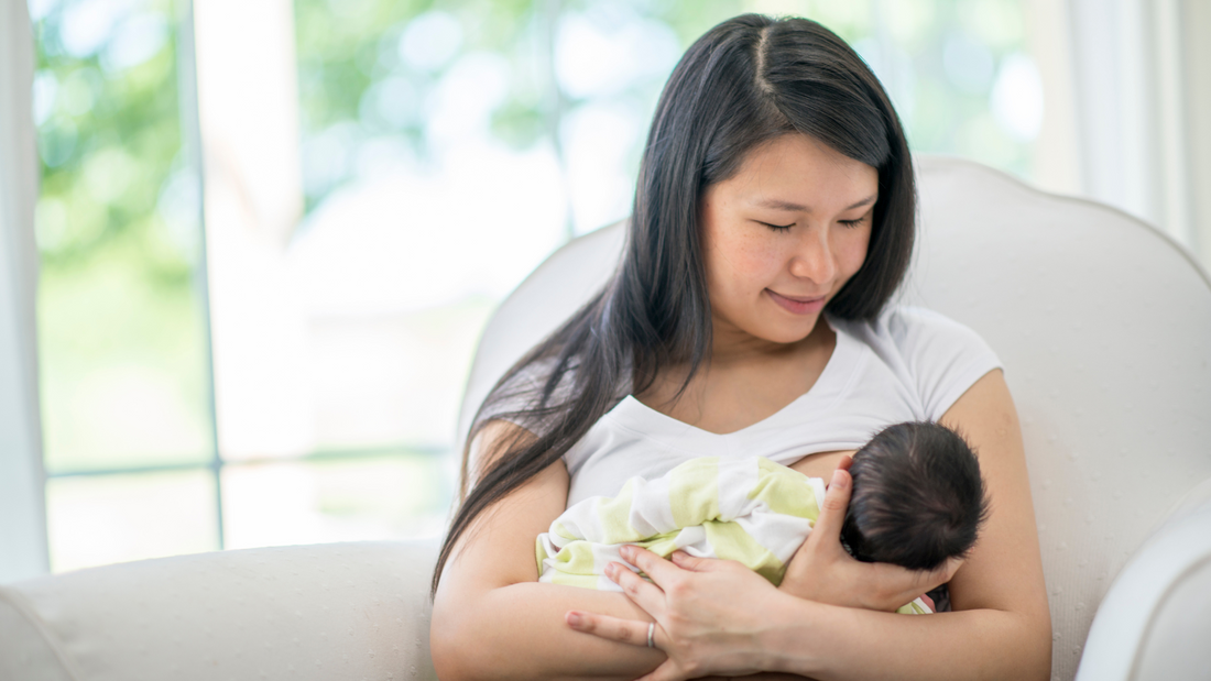 is creatine safe while breastfeeding?