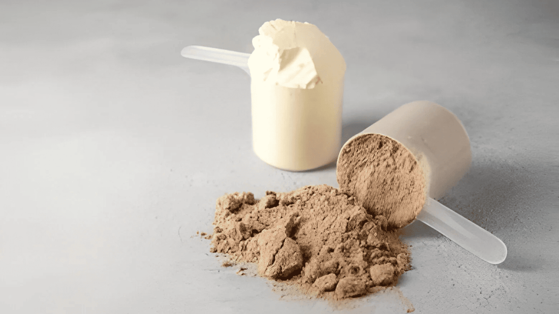 Creatine vs. Protein Powder for Women