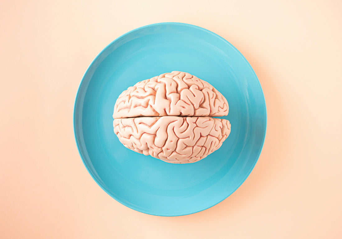 Creatine: Not Just for Muscles, A Boost for Your Brain Too